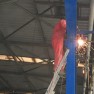 vecowelding